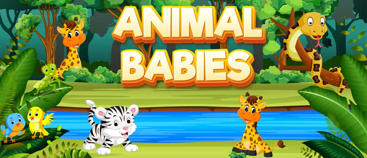 Animal Babies