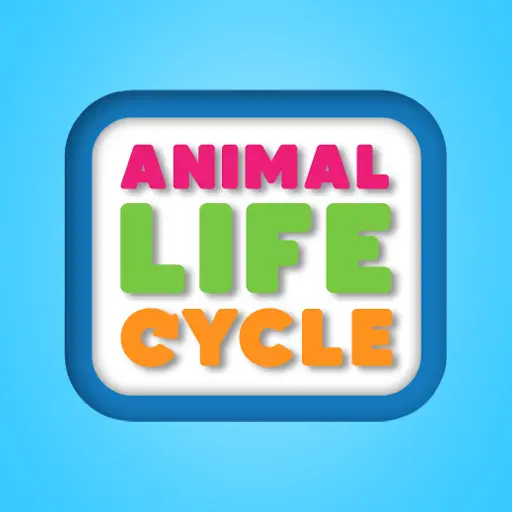 Animal Life Cycle