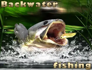 Backwater Fishing - Jeu de pêche réaliste en ligne gratuit