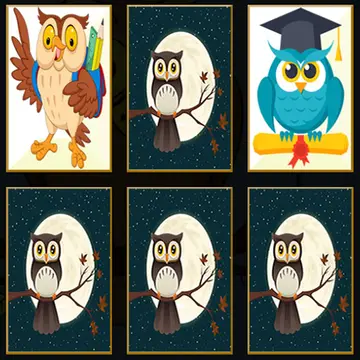 Cute Owl Memory - Ücretsiz Eşleştirme Oyunu Oyna