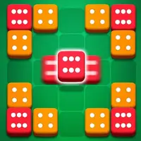 Dice Puzzle