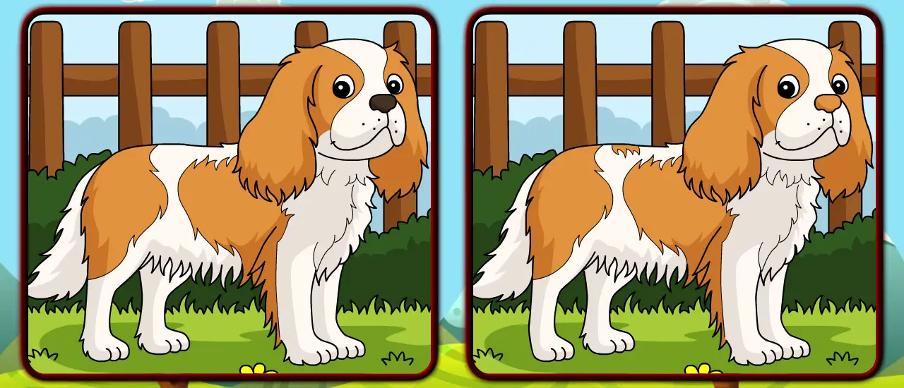 Dogs: Spot The Differences - Jeu de Puzzle Gratuit