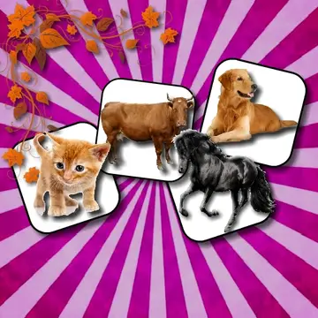 Domestic Animal Memory Challenge - Jeu de mémoire en ligne gratuit