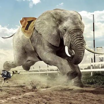 Elephants Puzzle - Jogo de Quebra-Cabeça Online Grátis