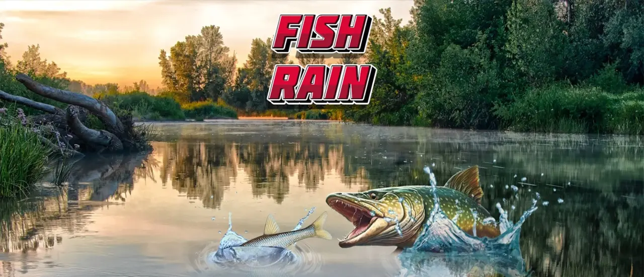 Fish rain