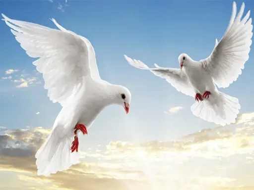 Flying Birds Slide - Juego de rompecabezas en línea gratis