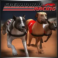 Greyhound Racing Online Oyna - Ücretsiz At Yarışı Oyunu