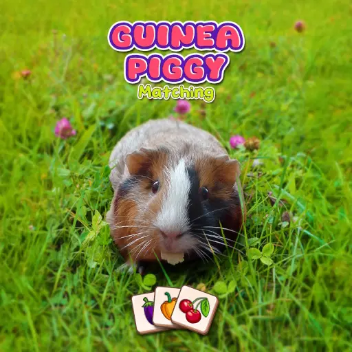 Guinea Piggy Matching - Juego de combinar y hacer puzzle gratis