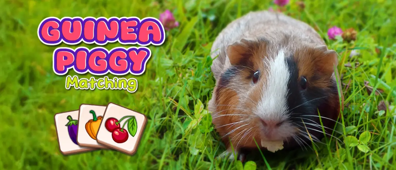 Guinea Piggy Matching - Juego de combinar y hacer puzzle gratis