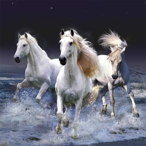 Horses Slide Puzzle Game - Play Free Online