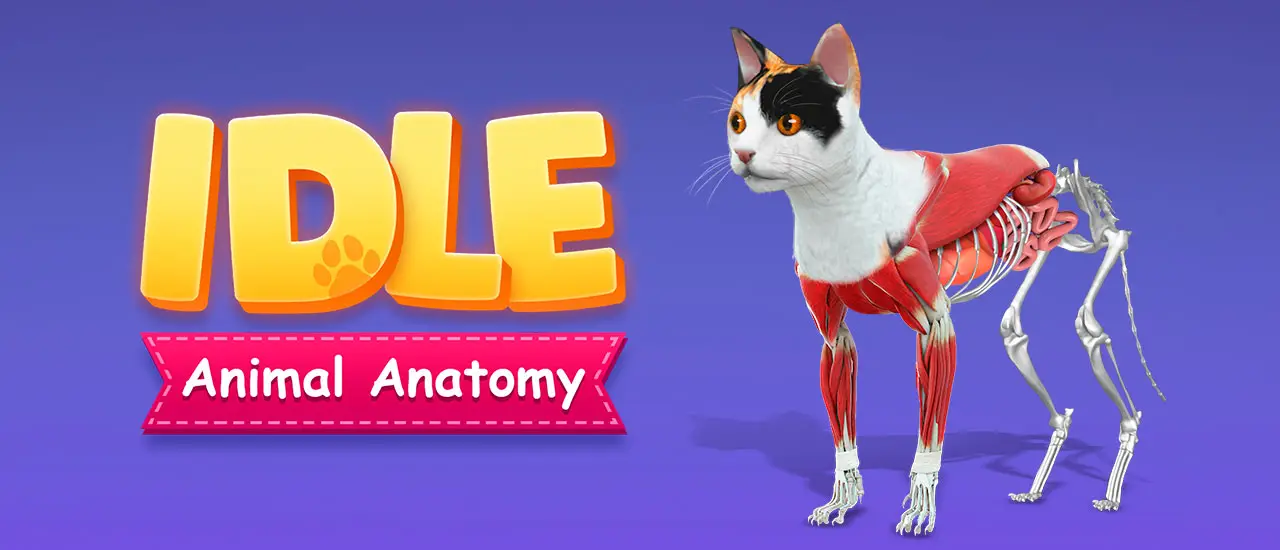 IDLE Animal Anatomy