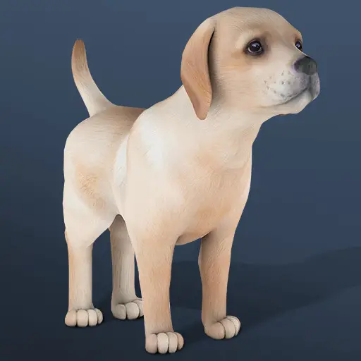 IDLE Pet - Fun Animal Creation Clicker Game for Free