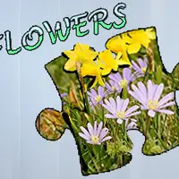 Jigsaw Puzzle: Flowers - Ücretsiz Çiçekli Bulmaca Oyna