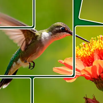 Jigsolitaire - Relaxing Puzzle Game to Play and Unwind