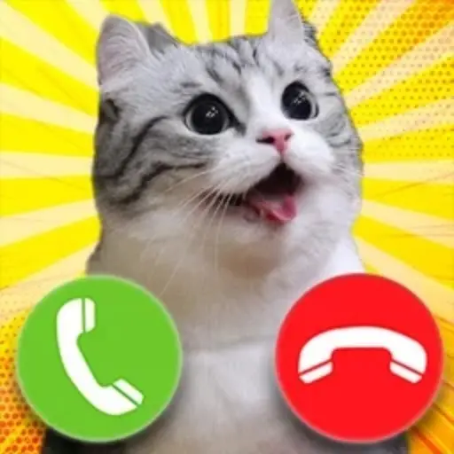 Komaru Cat Oyna - Bakım ve Giydirme Oyunu