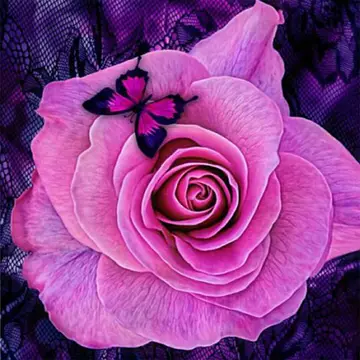 Purple Roses Puzzle – Kostenloses Puzzlespiel online spielen