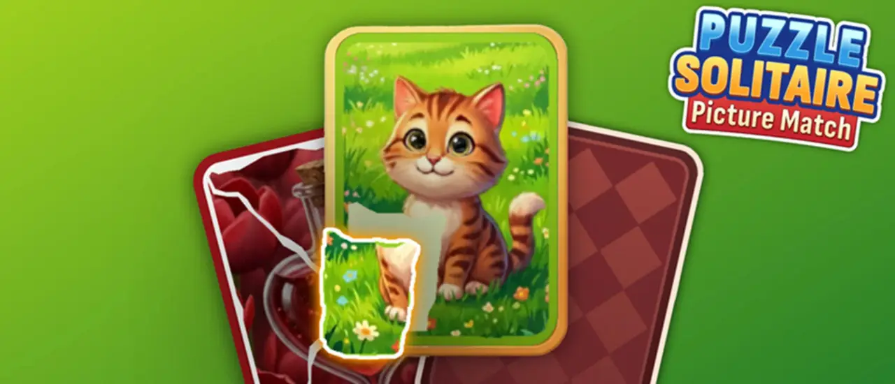 Puzzle Solitaire Picture Match
