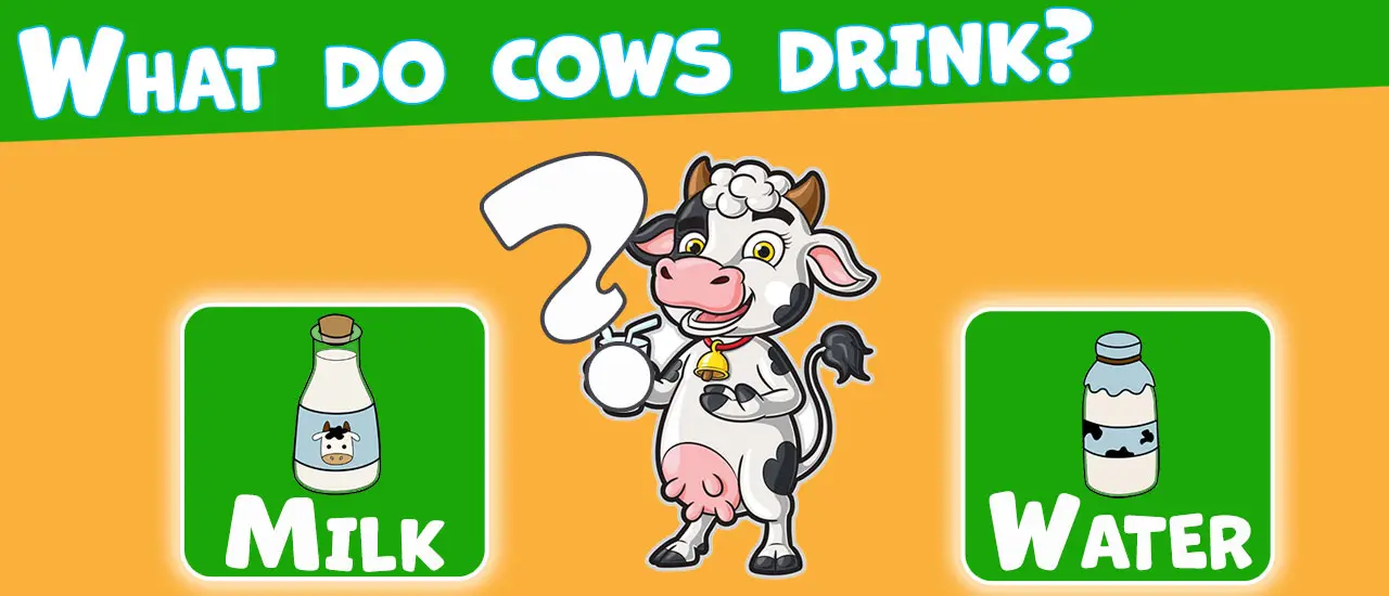 Trivia! Best Family Quiz - Fun Online Trivia Game to Play and Test Your Knowledge
