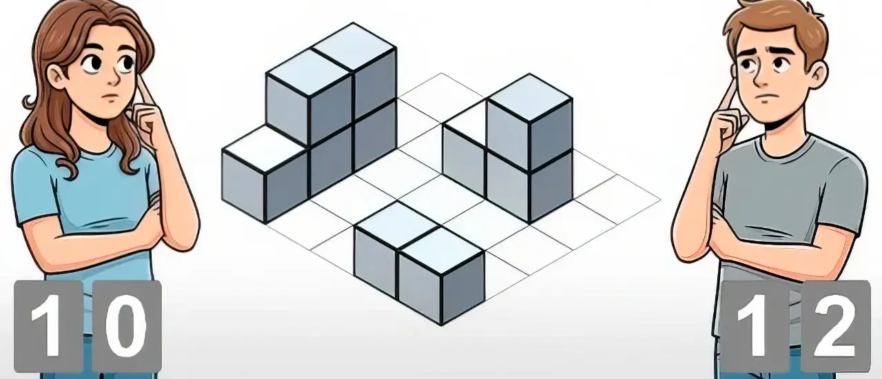 Try To Count The Boxes Brain Training