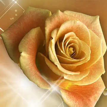 Yellow Roses Puzzle – Kostenloses Puzzlespiel zum Spielen online