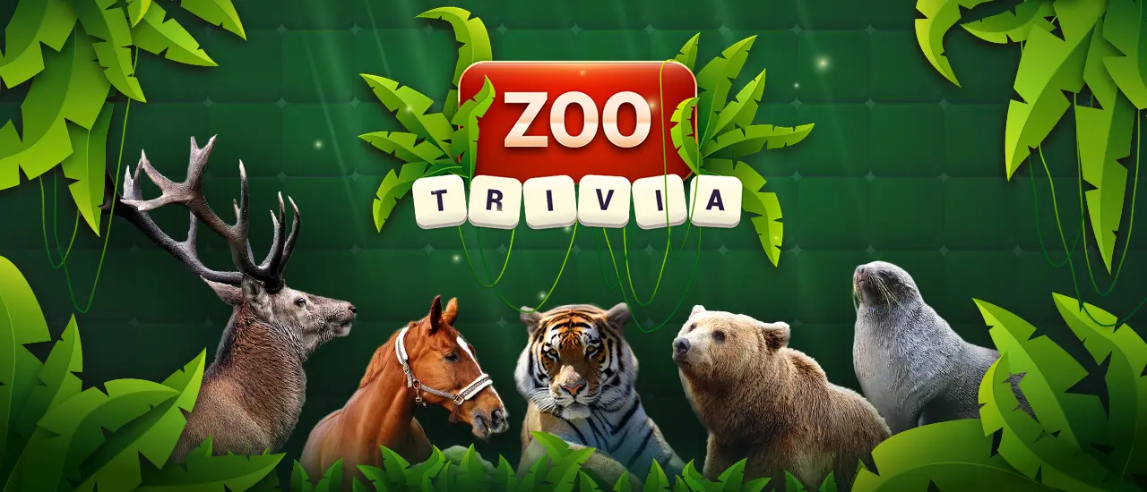Zoo Trivia - Fun Animal Quiz Game to Play Online for Free